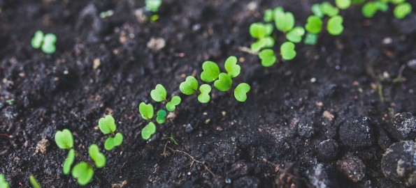 Should Your Startup Close a Small Seed Round Prior to Accelerator Pitch Day?